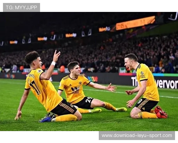 纽卡斯尔：赛季后期状态波动，对英超积分榜竞争格局带来变化